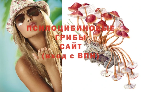 МДПВ Медвежьегорск