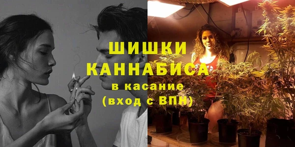 ПСИЛОЦИБИНОВЫЕ ГРИБЫ Михайловск