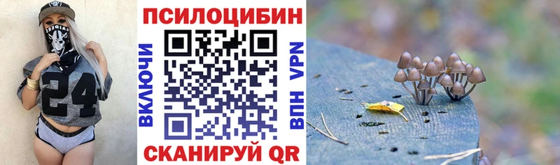 Галлюциногенные грибы мухоморы  Кашира 